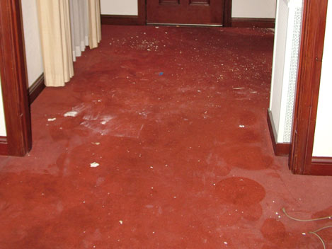 Lombardi's Carpets saves the filthiest carpets!